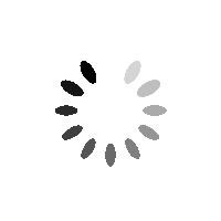 Description of the animation